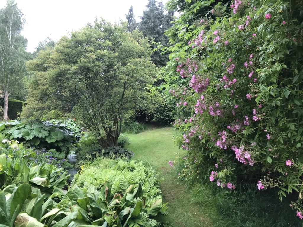 Relaxation Garden Design Best Plants