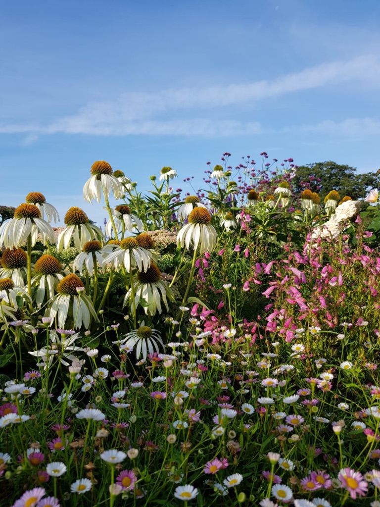 beginners garden design tips Top Garden Design tips for beginners Suffolk Essex Top Tips for gardening beginners 